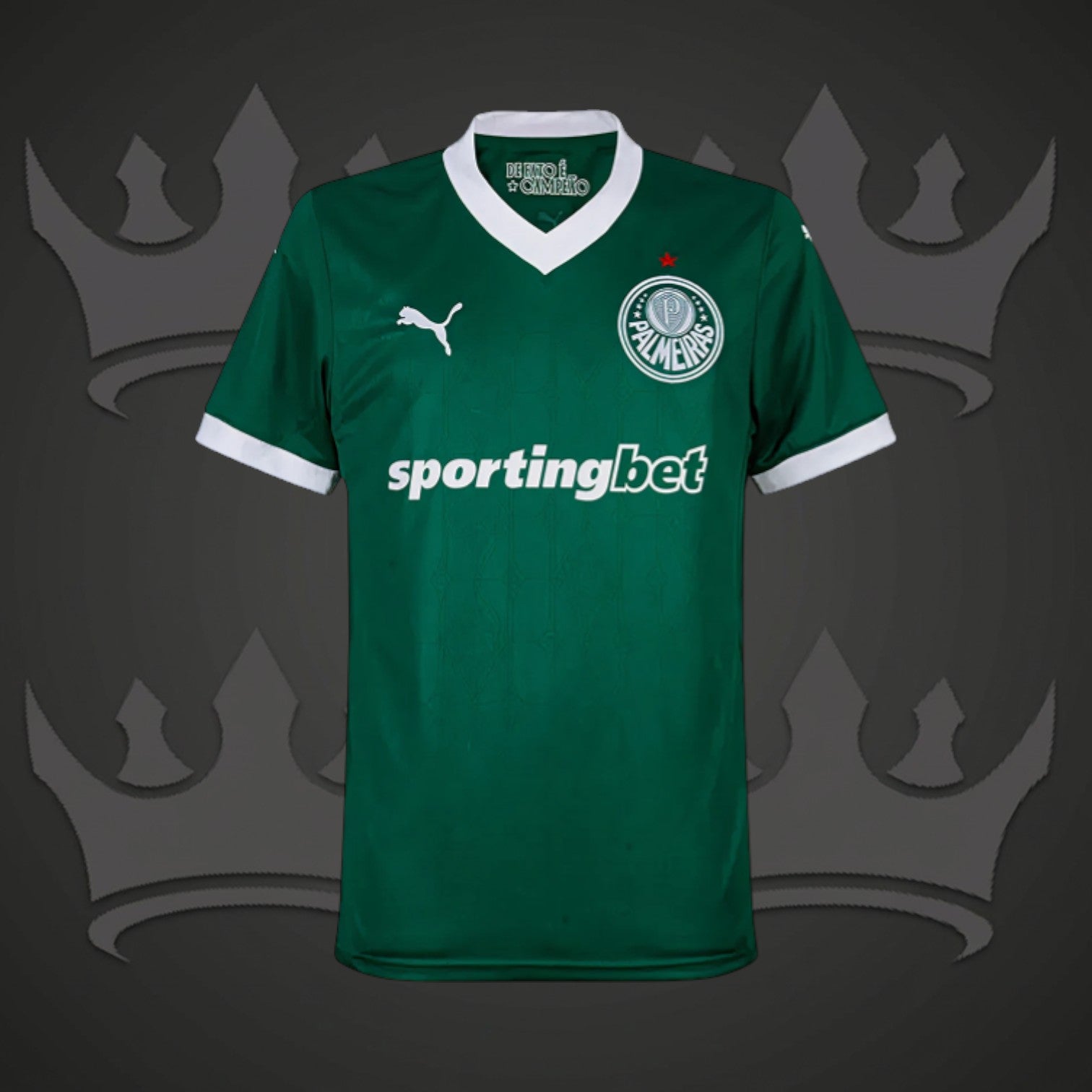 Palmeiras 25/26 Home Kit